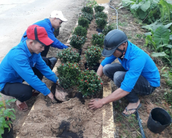 Đoàn viên thanh niên xã Trà Tân trồng và chăm sóc đường hoa.